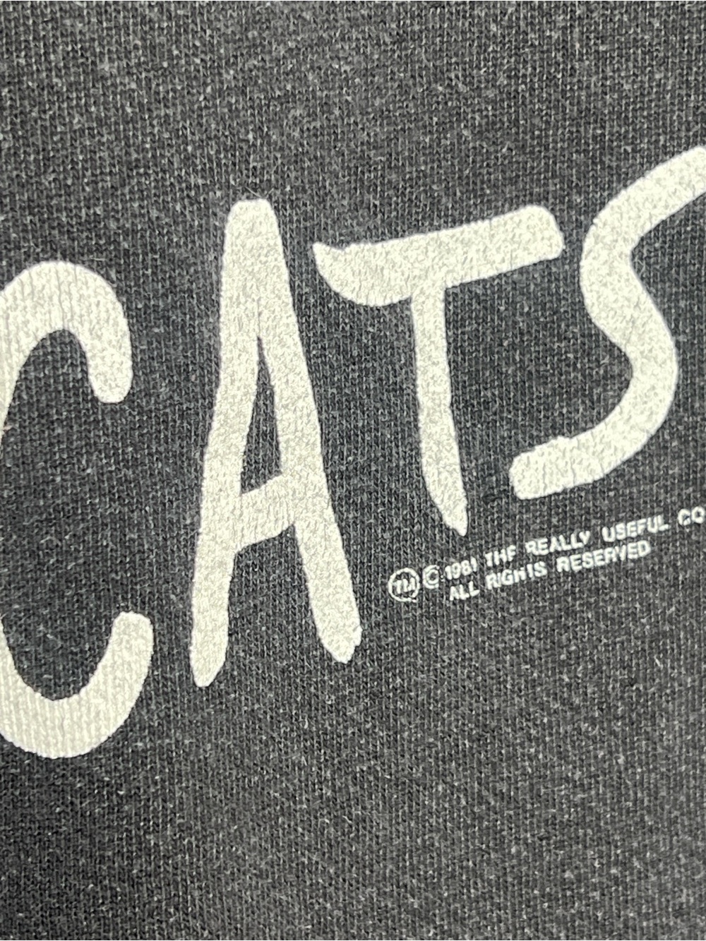 Vintage 1981 CATS Broadway Musical Faded Crewneck Sweatshirt L - Picture 3 of 7